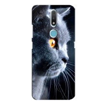 Чохли з Котиками для Nokia 2.4 (VPrint) (Сірий Кіт)