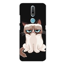 Чохол з принтом для Nokia 2.4 (AlphaPrint) Модні коти (Сумний кіт)