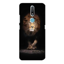 Чехол со Львом для Nokia 2.4 (VPrint) (Лев)