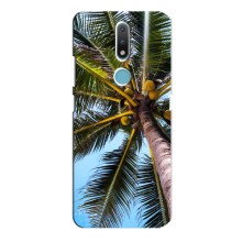 Силиконовый чехол с КАРТИНКАМИ лето для Nokia 2.4 (AlphaPrint) (Пальма)