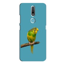 Силіконовий бампер з птичкою на Nokia 2.4 – Попугайчик