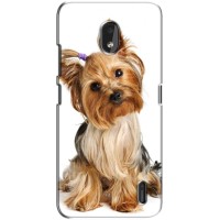 Чехол (ТПУ) Милые собачки для Nokia 2.2 – Собака Терьер