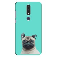 Бампер для Nokia 3.1 Plus, 3 Plus 2018 з картинкою "Песики" (Собака Мопсік)