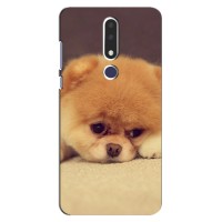 Чехол (ТПУ) Милые собачки для Nokia 3.1 Plus, 3 Plus 2018 (Померанский шпиц)