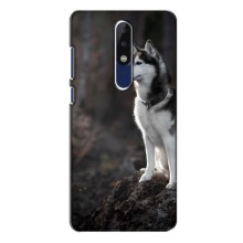 Чехол с Хаски для Nokia 5.1 Plus (X5) - (AlphaPrint) (Верный пес)