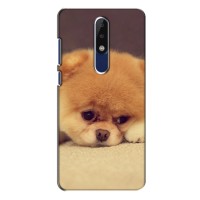 Чехол (ТПУ) Милые собачки для Nokia 5.1 Plus (X5) (Померанский шпиц)