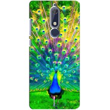 Чехол с птицами на Nokia 5 2018, 5.1 (VPrint) (Яркий Павлин)