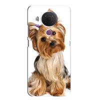Чехол (ТПУ) Милые собачки для Nokia 5.4 – Собака Терьер
