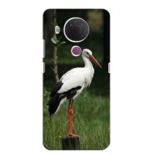 Силиконовый чехол с птичкой на Nokia 5.4 – Лелека