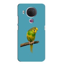 Силиконовый чехол с птичкой на Nokia 5.4 – Попугайчик