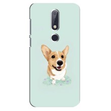 Чохли з собаками для Nokia 6.1 Plus (VPrint) (Коргі)
