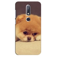Чехол (ТПУ) Милые собачки для Nokia 6.1 Plus – Померанский шпиц