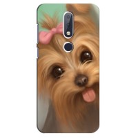 Чехол (ТПУ) Милые собачки для Nokia 6.1 Plus – Йоршенский терьер