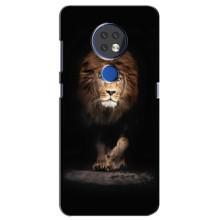 Чохол з картинкою ЛЕВ для Nokia 6.2 (2019) (VPrint) (Лев)