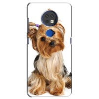 Чехол (ТПУ) Милые собачки для Nokia 6.2 (2019) – Собака Терьер