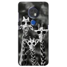 Силиконовый чехол с КАРТИНКАМИ лето для Nokia 6.2 (2019) (AlphaPrint) – Жирафы в очках