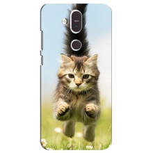 Чехлы с Котиками для Nokia 8.1 , Nokia 8 2018 (VPrint) (Прыжок кота)