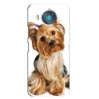 Чехол (ТПУ) Милые собачки для Nokia 8.3 – Собака Терьер