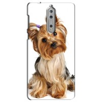 Чехол (ТПУ) Милые собачки для Nokia 8 (Собака Терьер)