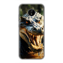 Чехол с картинкой «Хищники» для Nokia C10 – Крокодил