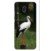 Силиконовый чехол с птичкой на Nokia C20 Plus – Лелека