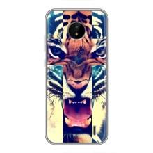 Чохли з зображенням різних тварин на Nokia C20 (Яскравий Тигр)