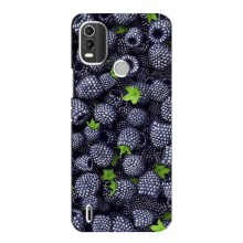 Чехлы с Фруктами для Nokia C21 Plus (VPrint) (Ежевика)