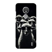 Чехол с принтом стильные животные для Нокиа С21 (Овечка в очках)