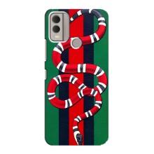 Чохли  GUCCI для Нокіа C22 (AlphaPrint)