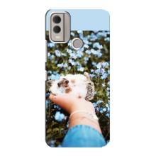 Чехлы с изображением разных животных для Nokia C22 (Ежик на руках)