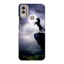 Чехлы с изображением разных животных для Nokia C22 (Лошадь)