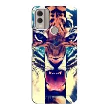 Чехлы с изображением разных животных для Nokia C22 (Яркий Тигр)