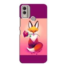 Чехлы с картинкой Лисички для Nokia C22 (VPrint) – Лисичка с розочкой