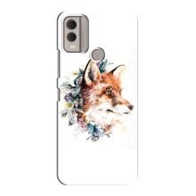 Чехлы с картинкой Лисички для Nokia C22 (VPrint) – Лисичка в цветочках