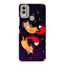 Чехлы с картинкой Лисички для Nokia C22 (VPrint) – Лисички космонавты