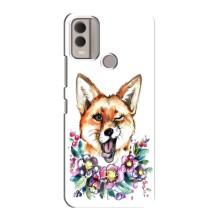 Чехлы с картинкой Лисички для Nokia C22 (VPrint) – Веселая лисичка