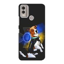 Чехлы с картинкой собаки Патрон для Nokia C22 (AlphaPrint) – Патрон собачка