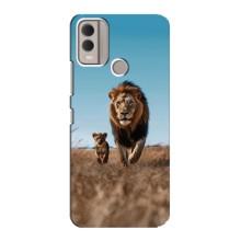 Чехол Король лев на Нокия С22 – Мусафа и Симба