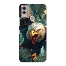 Чехол с картинкой «Хищники» для Nokia C22 – Орёл