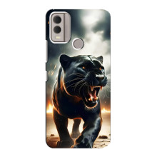 Чехол с картинкой «Хищники» для Nokia C22 – Пантера