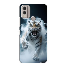 Чехол с картинкой «Хищники» для Nokia C22 – Тигр