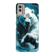 Чехол с картинкой «Хищники» для Nokia C22 – Медведь