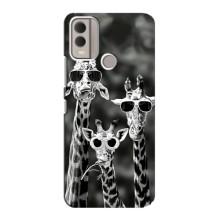 Силиконовый чехол с КАРТИНКАМИ лето для Nokia C22 (AlphaPrint) – Жирафы в очках