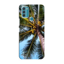 Силіконовий чохол з КАРТИНКАМИ літо для Nokia C31 (AlphaPrint) (Пальма)