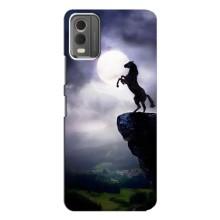 Чехлы с изображением разных животных для Nokia C32 (Лошадь)