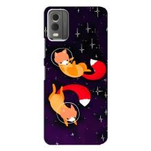 Чехлы с картинкой Лисички для Nokia C32 (VPrint) (Лисички космонавты)
