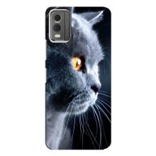 Чехлы с Котиками для Nokia C32 (VPrint) (Серый Кот)