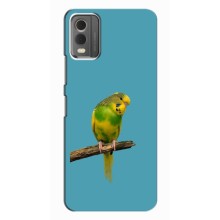 Силиконовый чехол с птичкой на Nokia C32 – Попугайчик