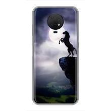 Чохли з зображенням різних тварин на Nokia G10 (Кінь)