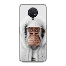 Чохли з Мавпами NFT для Nokia G10 (AlphaPrint) (мавпа NFT в тату)